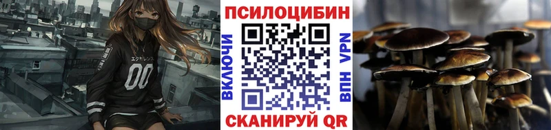 наркошоп  Чухлома  Псилоцибиновые грибы Psilocybe 